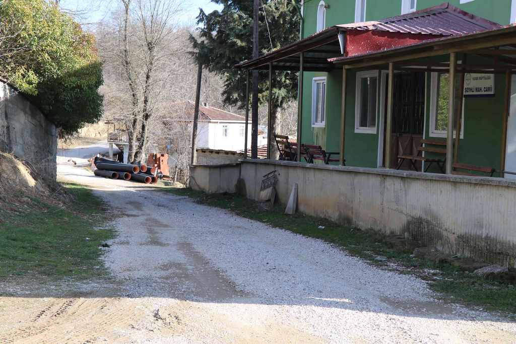 Şeyhli